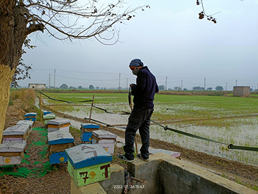 Research on Beekeeping in India